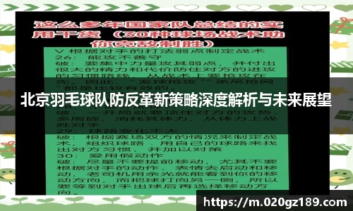 必一运动bsport体育