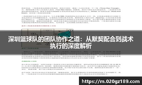 必一运动bsport体育