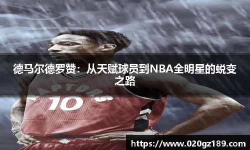 必一运动bsport体育