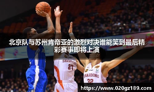必一运动bsport体育